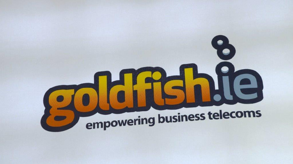 Goldfish.ie 3 Goldfish.ie 3